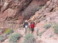 2015-03-18-Grand-Canyon-4star-14-Carl-Dax.jpg