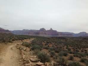 2015-03-18-Grand-Canyon-4star-32-Landscape.jpg