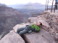 2015-03-18-Grand-Canyon-4star-59-Connor.jpg