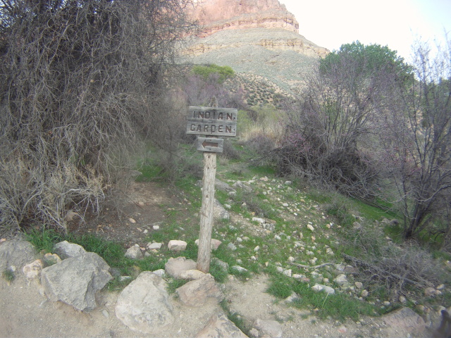 2015-03-18-Grand-Canyon-10-Indian-Garden.jpg