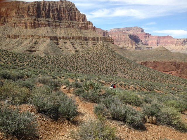 2015-03-19-Grand-Canyon-31-Dax.jpg