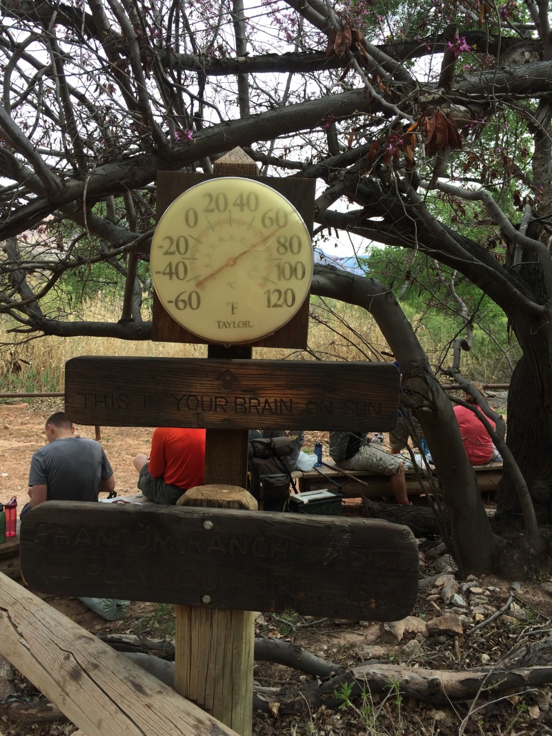 2015-03-18-Grand-Canyon-11-Indian-Garden-temperature-gauge.jpg