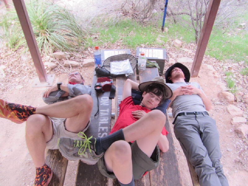 2015/03(March)/Grand-Canyon/800x600_2015-03-18-Grand-Canyon-31-Carl-Dax-Connor-sleeping-on-table.jpg