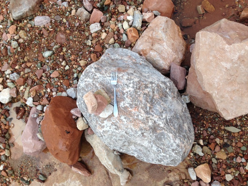 2015-03-19-Grand-Canyon-19-fork-in-the-road.jpg