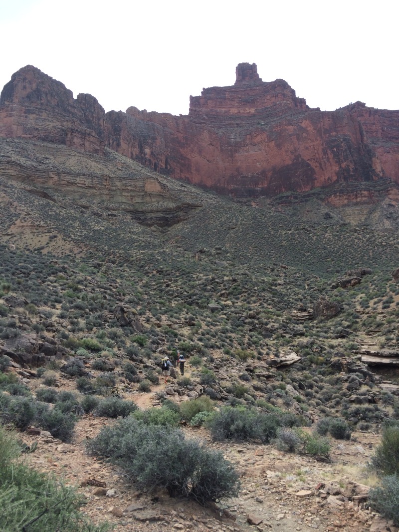 2015-03-19-Grand-Canyon-28-Landscape.jpg