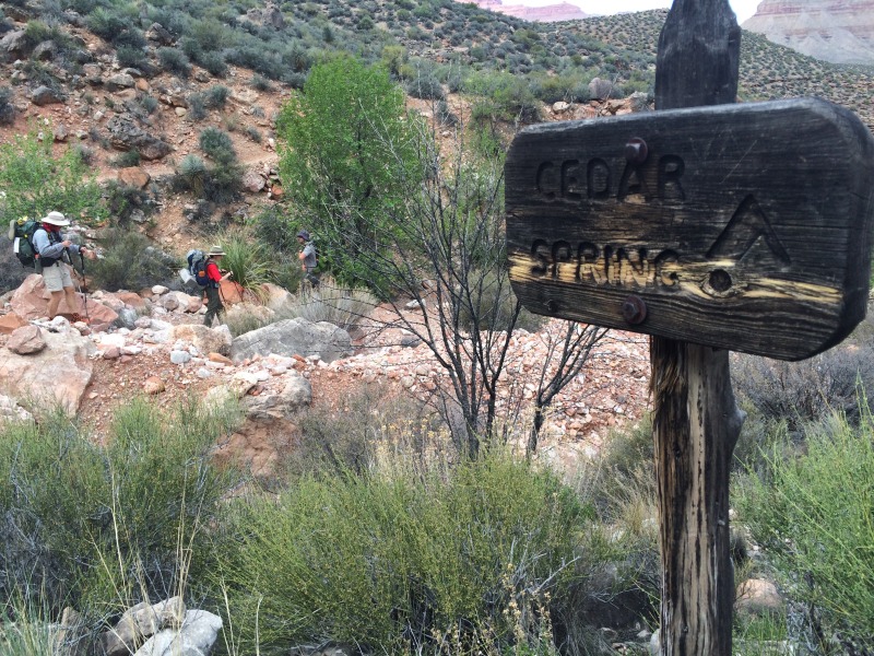 2015/03(March)/Grand-Canyon/800x600_2015-03-19-Grand-Canyon-29-Carl-Dax-Connor-CedarSpring.jpg