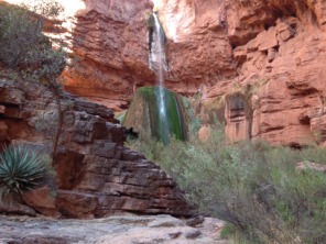 2015-03-17-Grand-Canyon-09-Ribbon-Falls-Landscape.jpg