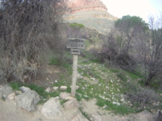 2015-03-18-Grand-Canyon-10-Indian-Garden.jpg