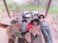 2015-03-18-Grand-Canyon-31-Carl-Dax-Connor-sleeping-on-table.jpg