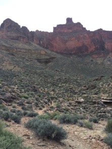 2015-03-19-Grand-Canyon-28-Landscape.jpg