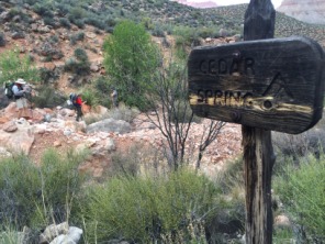 2015-03-19-Grand-Canyon-29-Carl-Dax-Connor-CedarSpring.jpg
