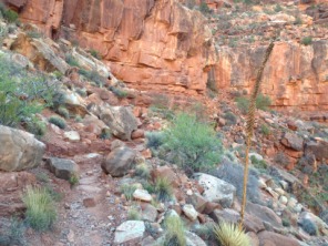 2015-03-20-Grand-Canyon-11-Landscape.jpg
