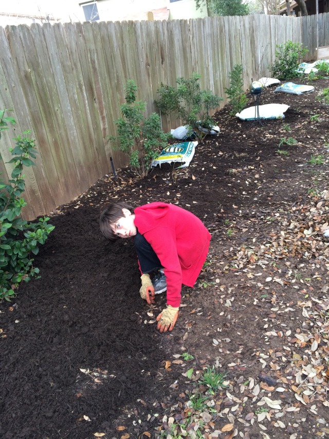 2015/03(March)/Troop214-Mulch/640x480_2015-03-07-Troop-214-Mulch-11-Dax.JPG