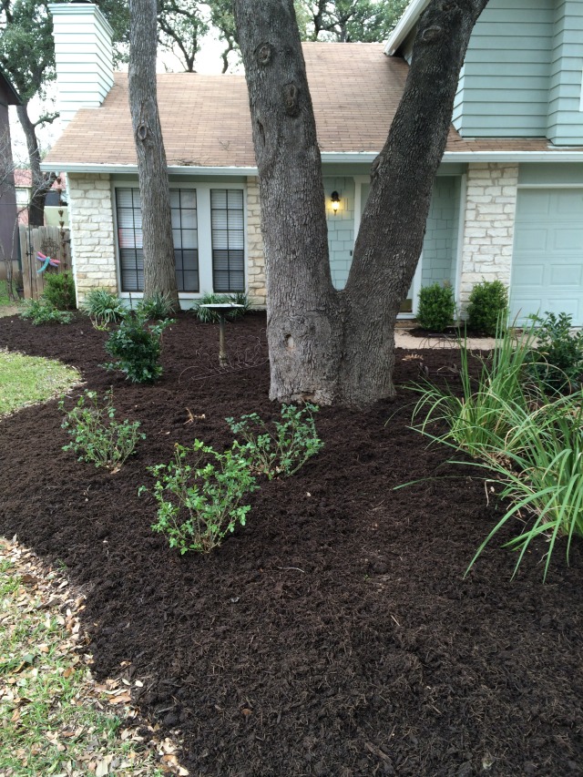 2015/03(March)/Troop214-Mulch/640x480_2015-03-07-Troop-214-Mulch-14.JPG