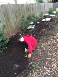 2015-03-07-Troop-214-Mulch-11-Dax.JPG