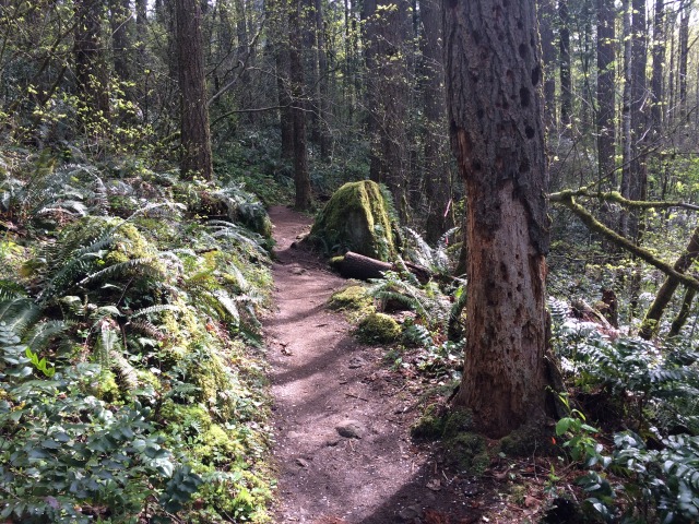 2015/04(April)/ERM-Portland-OR/640x480_2015-04-09-ERM-Portland-06-PCT.JPG