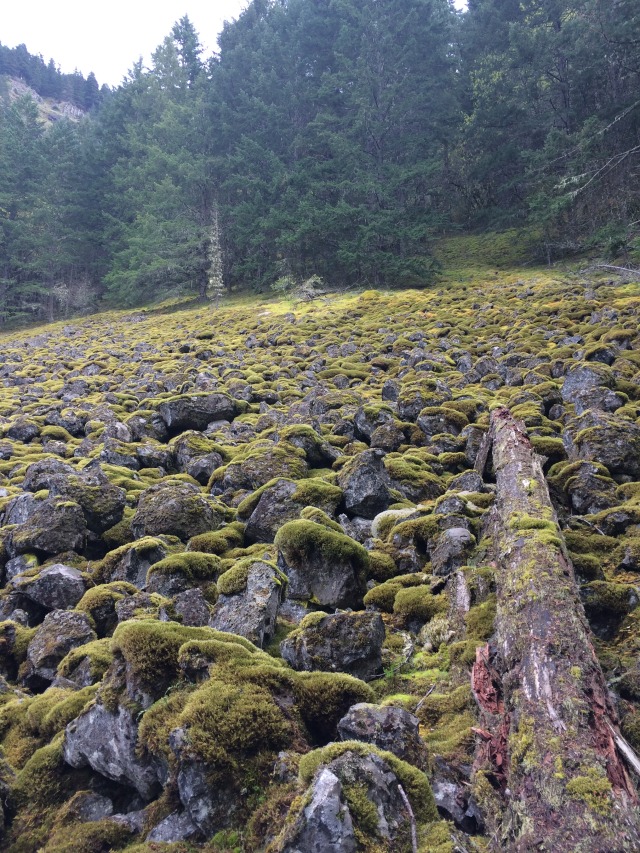 2015/04(April)/ERM-Portland-OR/640x480_2015-04-09-ERM-Portland-22-PCT.JPG