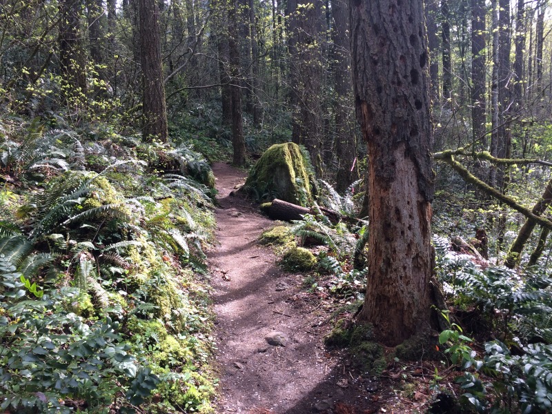 2015/04(April)/ERM-Portland-OR/800x600_2015-04-09-ERM-Portland-06-PCT.JPG