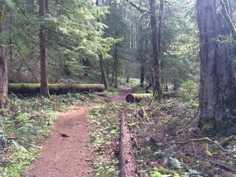 2015/04(April)/ERM-Portland-OR/800x600_2015-04-09-ERM-Portland-07-PCT.JPG