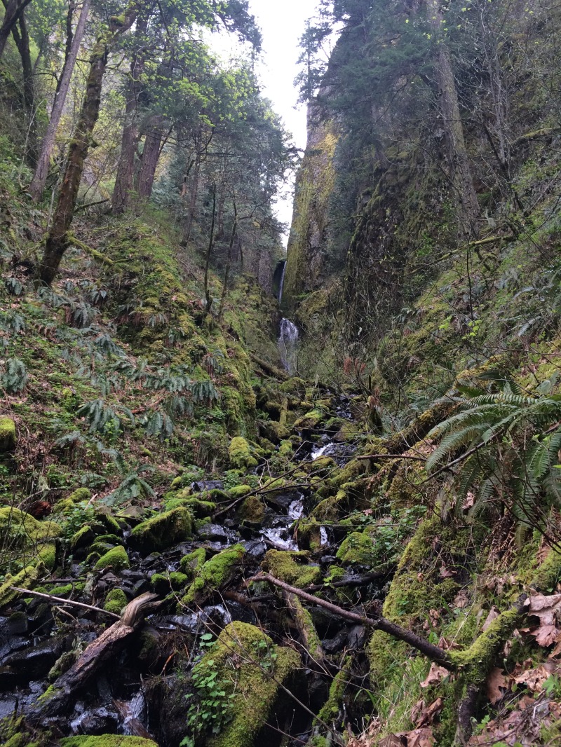 2015/04(April)/ERM-Portland-OR/800x600_2015-04-09-ERM-Portland-19-PCT.JPG