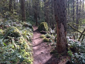 2015-04-09-ERM-Portland-06-PCT.JPG
