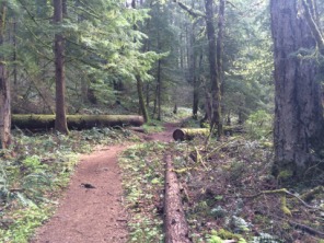2015-04-09-ERM-Portland-07-PCT.JPG