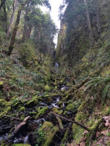 2015-04-09-ERM-Portland-19-PCT.JPG