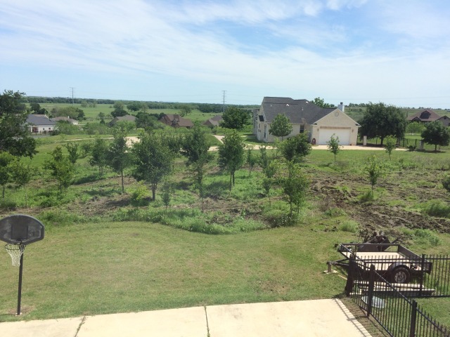 2015-04-20-clearing-land-near-Comanche-house-1.JPG