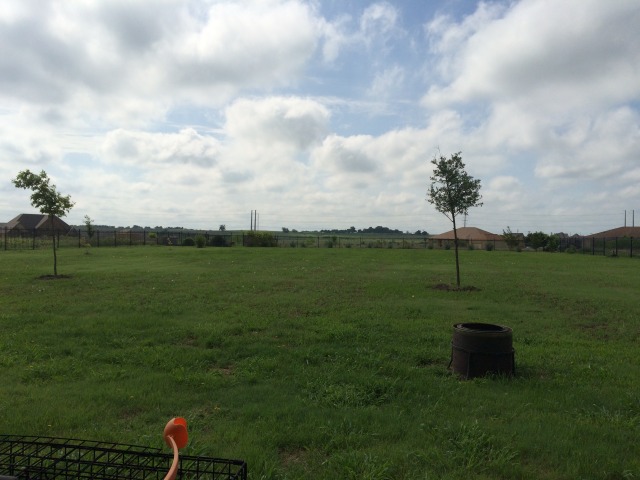 2015/04(April)/Misc/640x480_2015-04-27-Comanche-back-yard.JPG