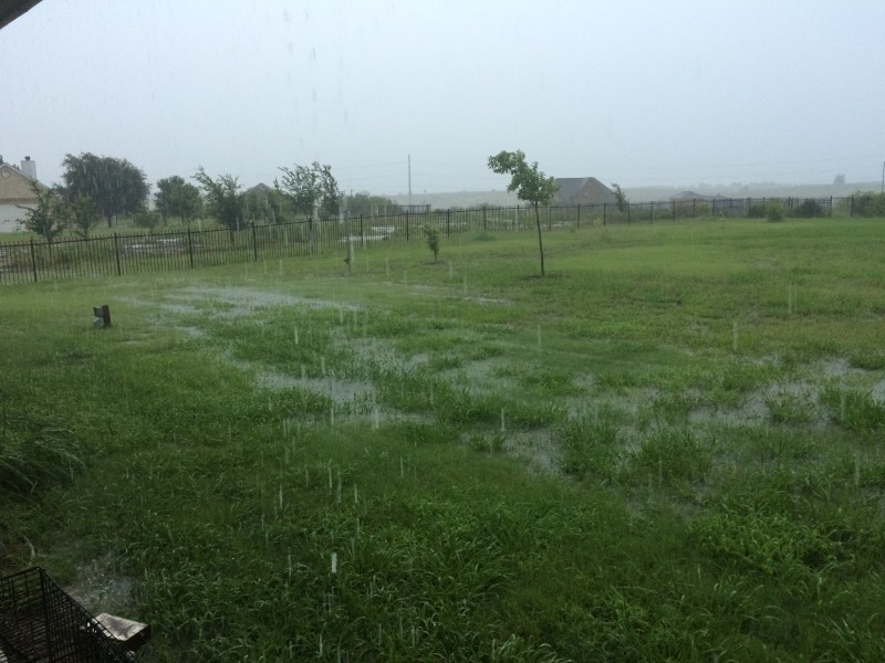 2015/05(May)/2015-05-25-Memorial-Day-Flood-Hutto/2015-05-25-Memorial-Day-Flood-01.JPG