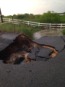 2015-05-26-Memorial-Day-Flood-06-road-damage.JPG