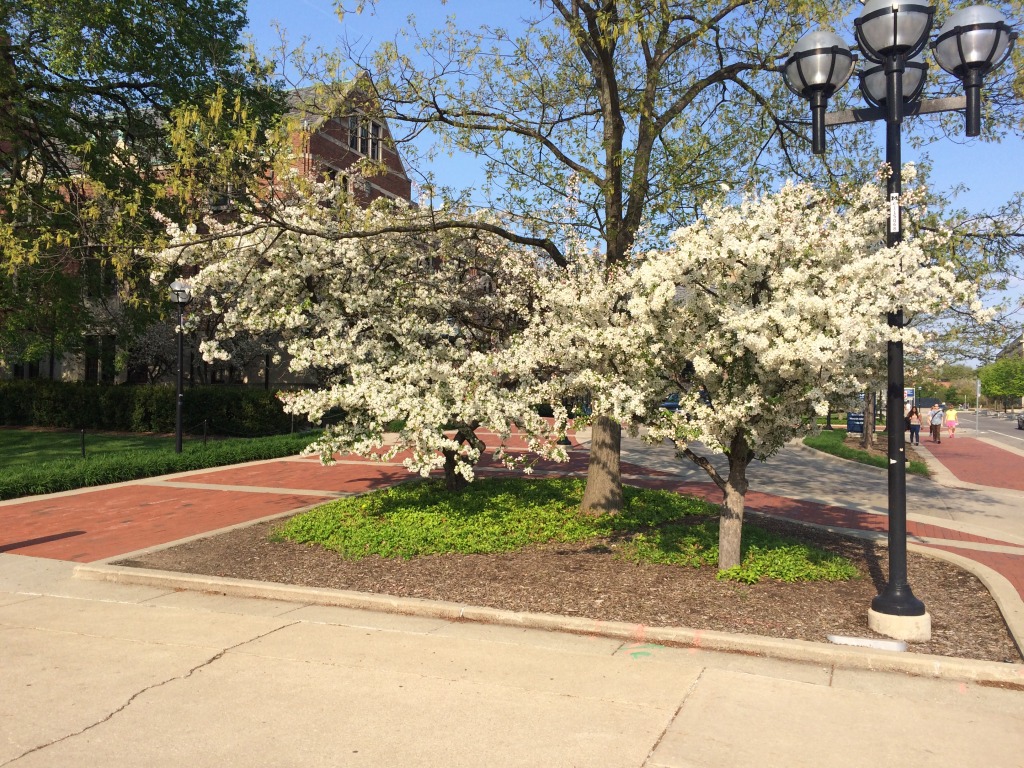 2015-05-05-ERM-AnnArbor-5.JPG