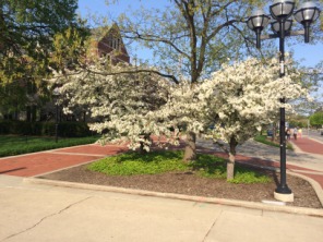 2015-05-05-ERM-AnnArbor-5.JPG