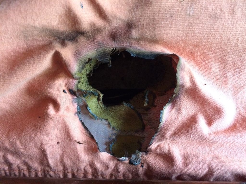 2015/05(May)/Misc/1024x768_2015-05-19-Dax-iPhone-plug-nearly-burns-down-house-2.JPG