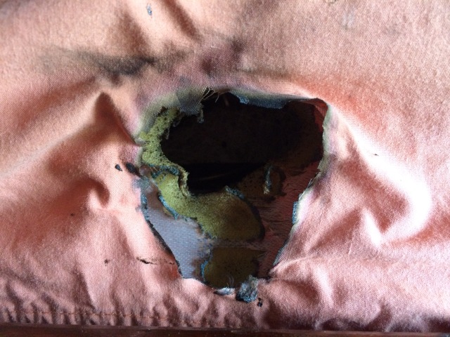 2015-05-19-Dax-iPhone-plug-nearly-burns-down-house-2.JPG