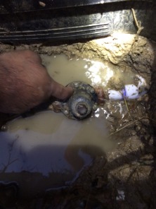 2015-06-09-Water-Leak-at-street-on-Manvilles-side-2.JPG