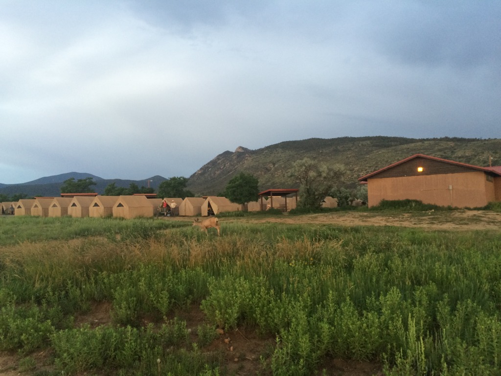 2015/07(July)/Philmont-630e-Crew-8787-Troop214/4star/1024x768_2015-07-01-Philmont-4star-01-basecamp-deer.JPG