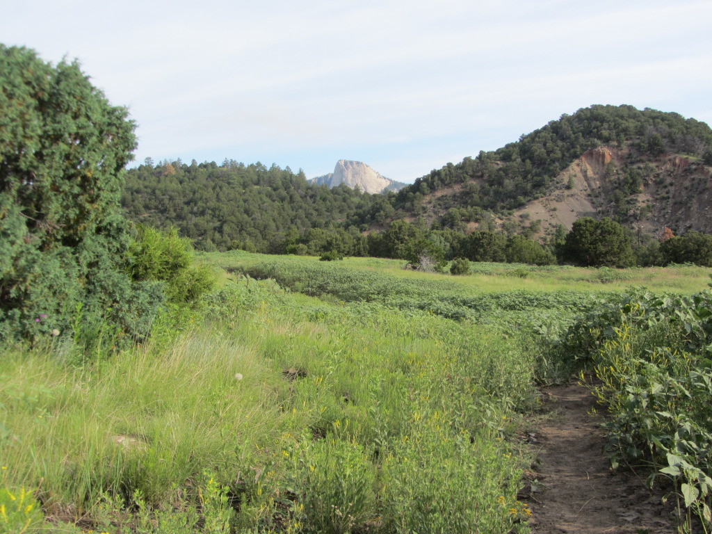 2015/07(July)/Philmont-630e-Crew-8787-Troop214/4star/1024x768_2015-07-03-Philmont-4star-05-Landscape-Tooth-of-Time.JPG