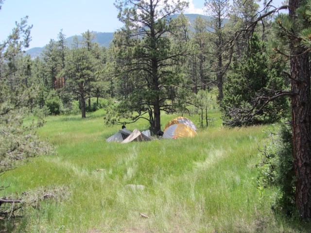 2015/07(July)/Philmont-630e-Crew-8787-Troop214/4star/640x480_2015-07-04-Philmont-4star-08-Clarks-Fork-camping-field.JPG