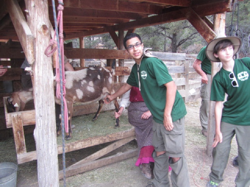 2015/07(July)/Philmont-630e-Crew-8787-Troop214/4star/800x600_2015-07-01-Philmont-4star-18-New-Abreau-milking-goat-Sebastian-Dax.JPG