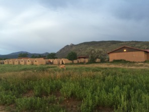 2015-07-01-Philmont-4star-01-basecamp-deer.JPG