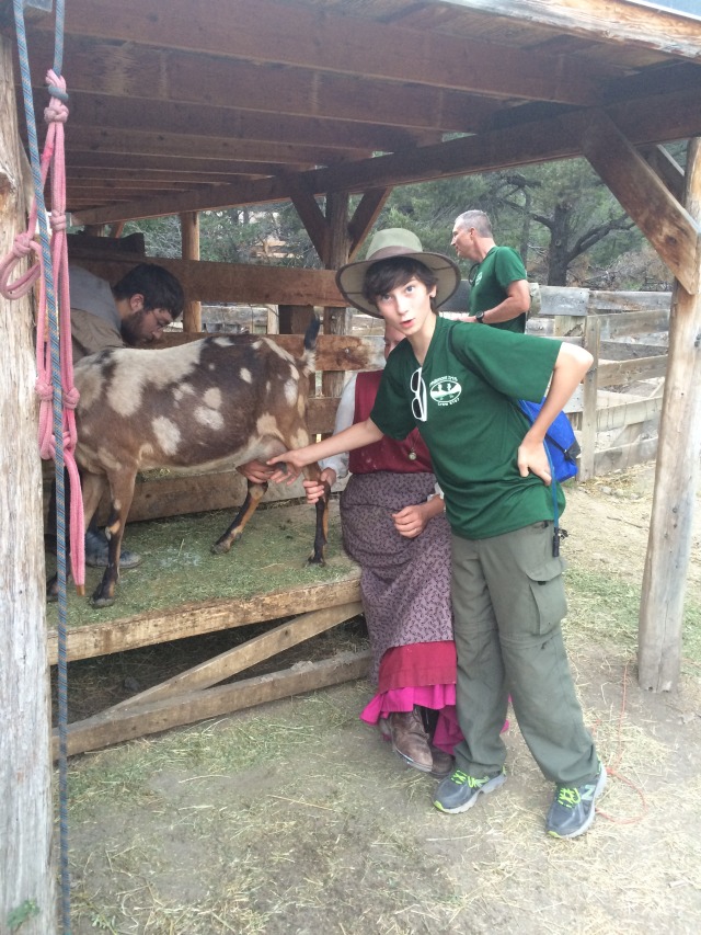 2015-07-01-Philmont-5star-024-New-Abreau-goat-milking-Dax-PatDuffy.jpg