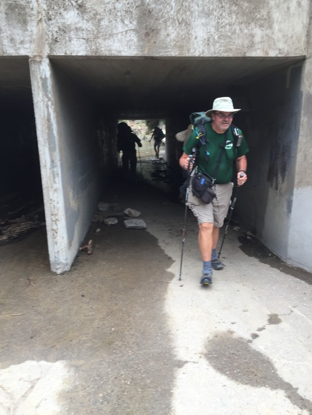 2015-07-06-Philmont-5star-006-Ron-under-highway.jpg