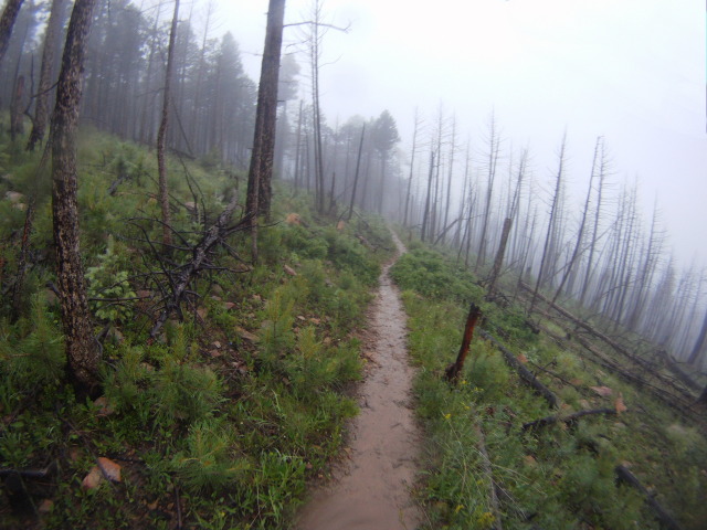 2015-07-07-Philmont-5star-001-Landscape.jpg