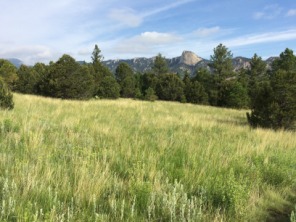 2015-07-03-Philmont-5star-016-Landscape-Tooth-of-Time.jpg