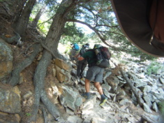 2015-07-03-Philmont-5star-023-Tooth-of-Time-hike-Ron-Rhys-Becky.jpg