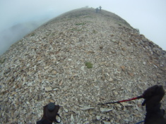2015-07-08-Philmont-5star-007-Baldy-Landscape.jpg