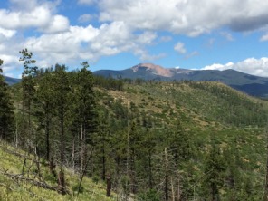 2015-07-10-Philmont-5star-019-Landscape-Baldy.jpg