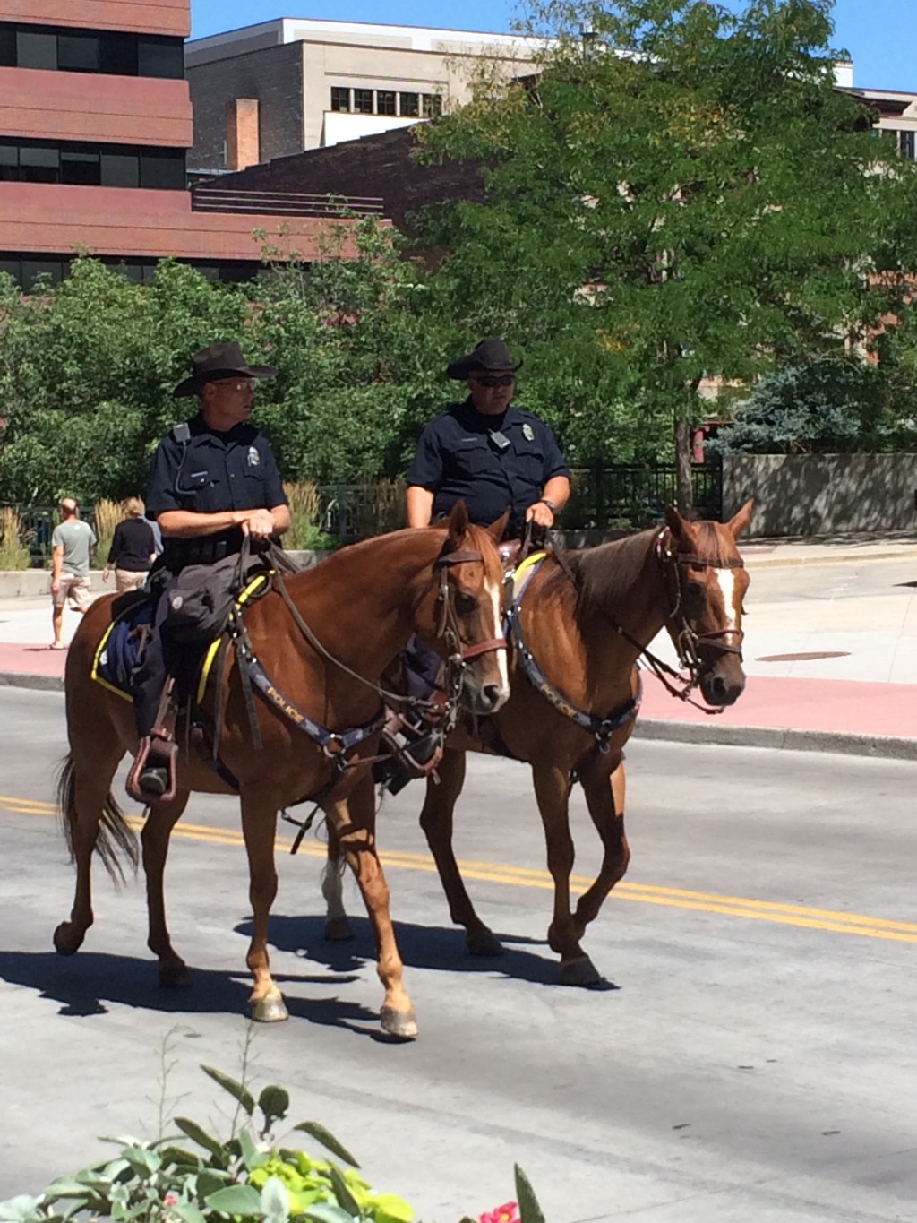 2015/08(August)/Colorado-anniversary/1024x768_2015-08-14-Denver-05-cops.JPG