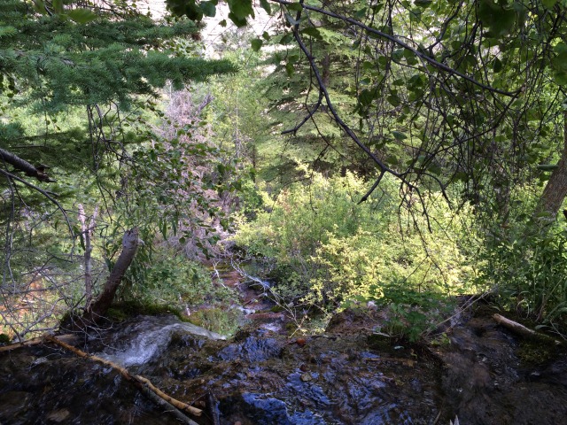 2015/08(August)/Colorado-anniversary/640x480_2015-08-15-Hanging-Lake-059.JPG